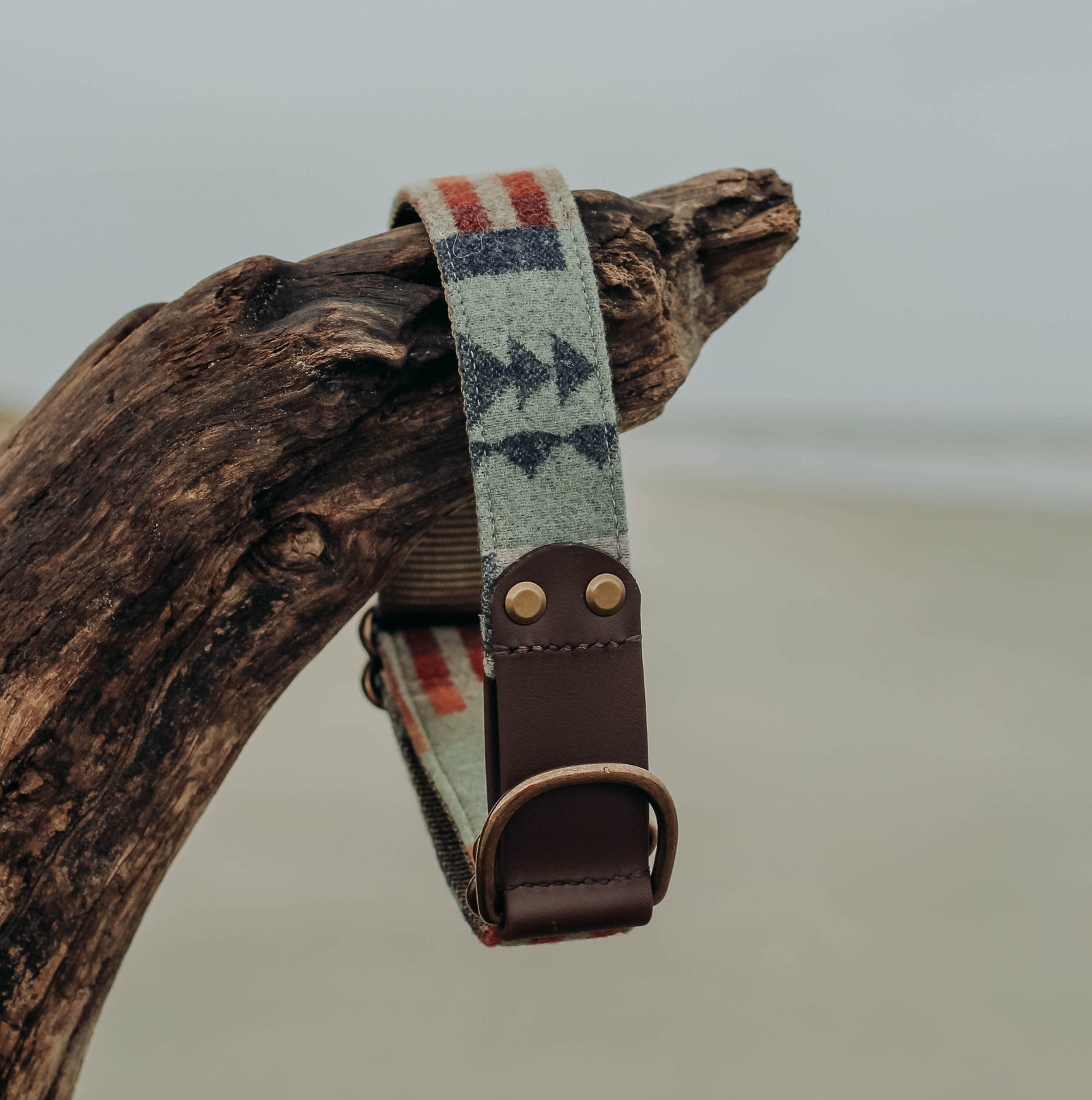 Pendleton leather discount dog collar