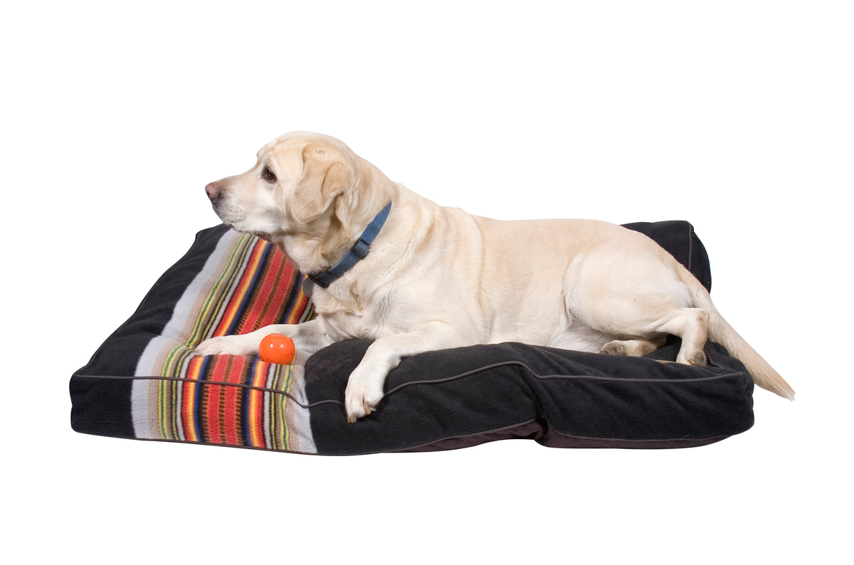Acadia National Park Dog Bed