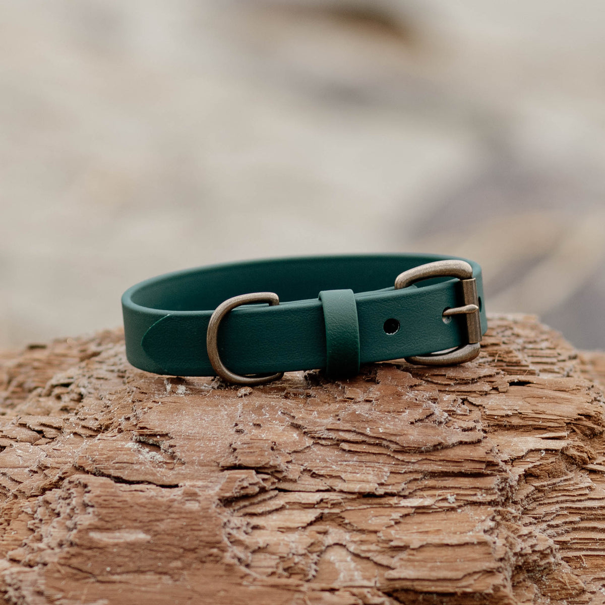 Forest Voyager Collar